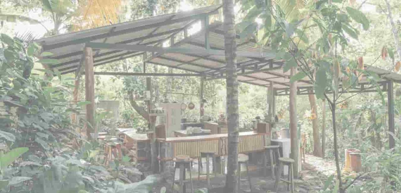 La Bambouseraie Balgue Exterior photo