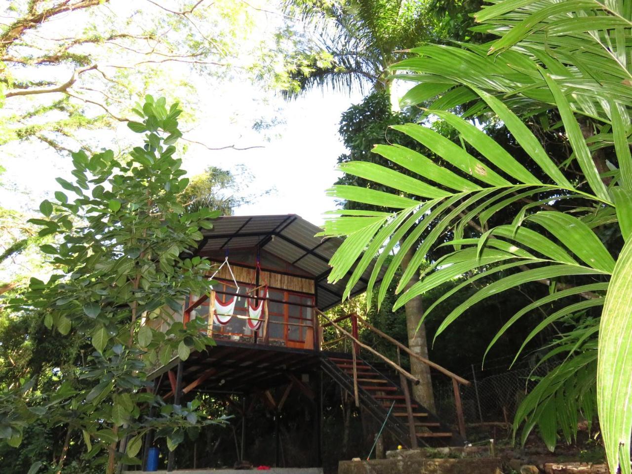 La Bambouseraie Balgue Exterior photo
