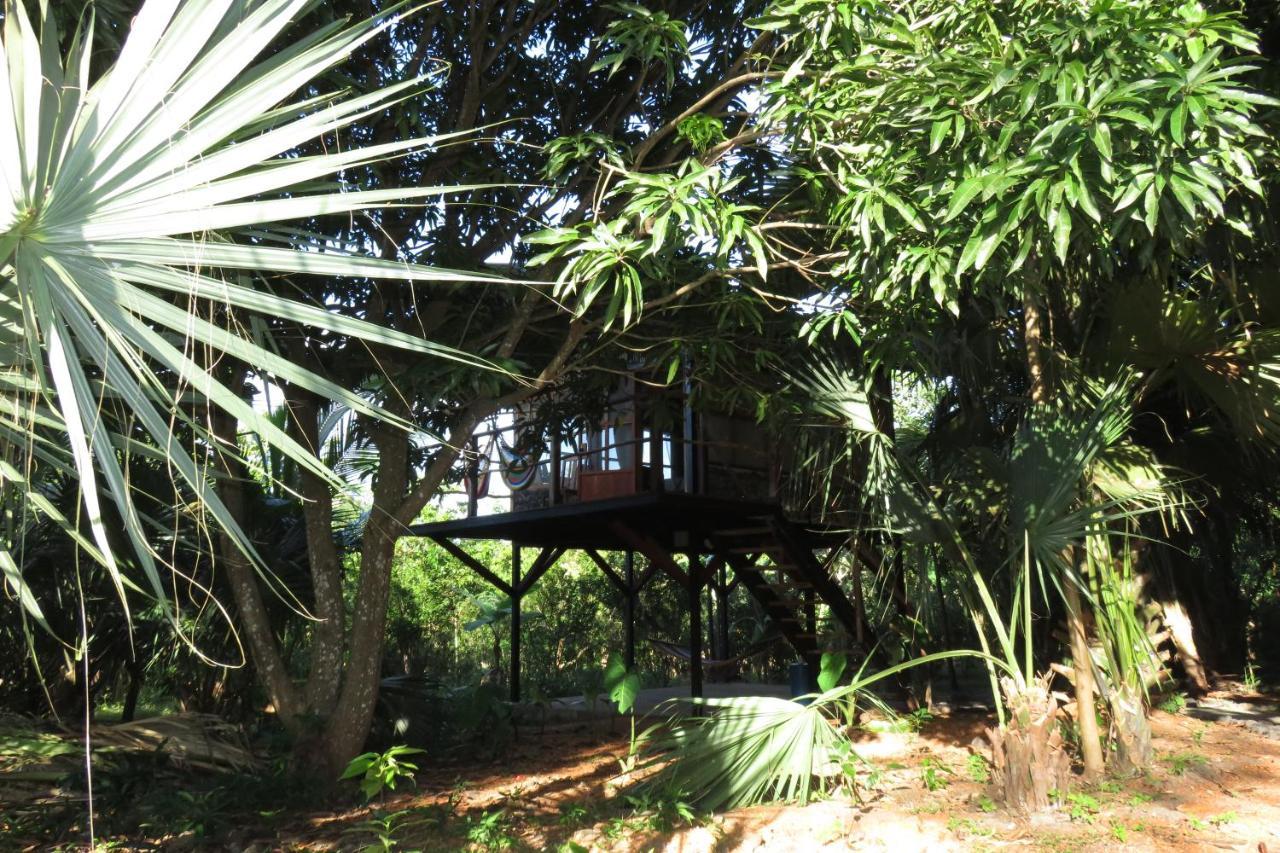 La Bambouseraie Balgue Exterior photo